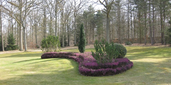 Plantation de massif et aménagement de jardins en Yvelines (78)