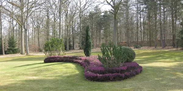 creation massif Yvelines Aménagement de jardins en Yvelines