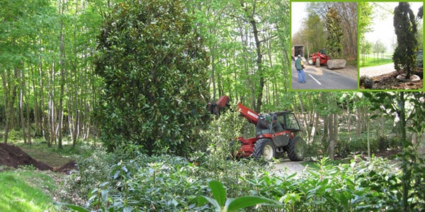 Fournitures et plantation arbres et arbustes à Rambouillet